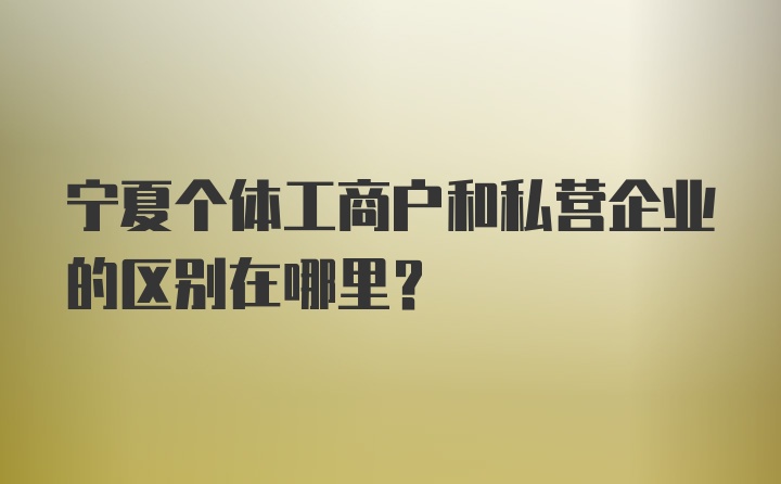 宁夏个体工商户和私营企业的区别在哪里？