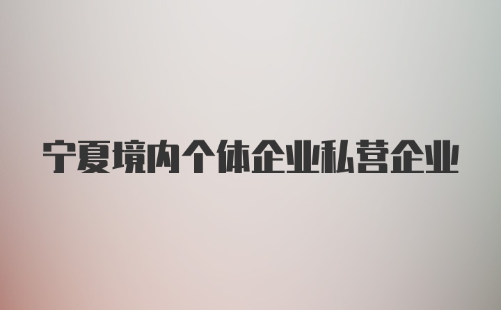 宁夏境内个体企业私营企业