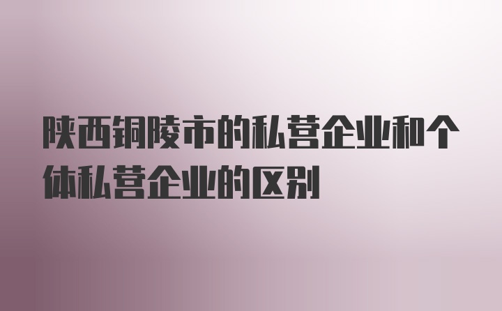 陕西铜陵市的私营企业和个体私营企业的区别