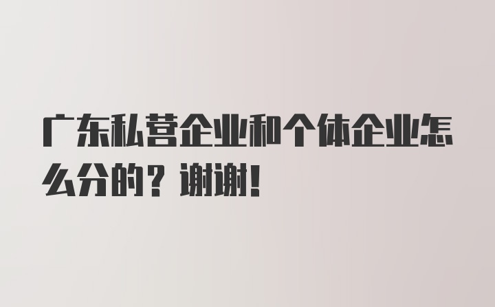 广东私营企业和个体企业怎么分的？谢谢！