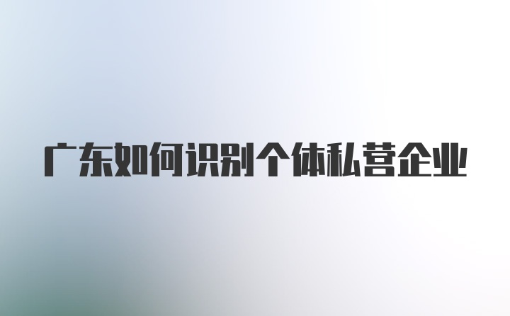 广东如何识别个体私营企业