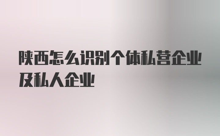 陕西怎么识别个体私营企业及私人企业