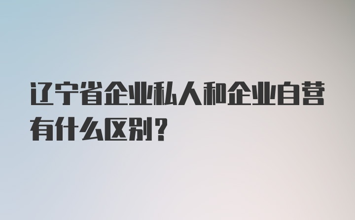 辽宁省企业私人和企业自营有什么区别?