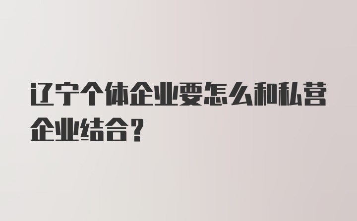 辽宁个体企业要怎么和私营企业结合?