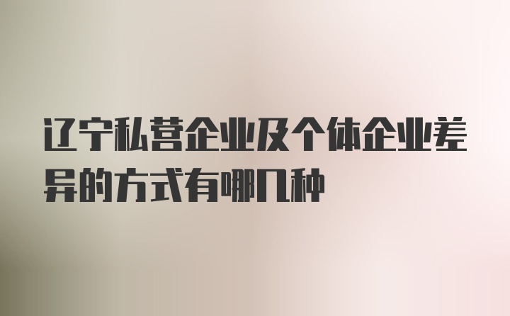 辽宁私营企业及个体企业差异的方式有哪几种