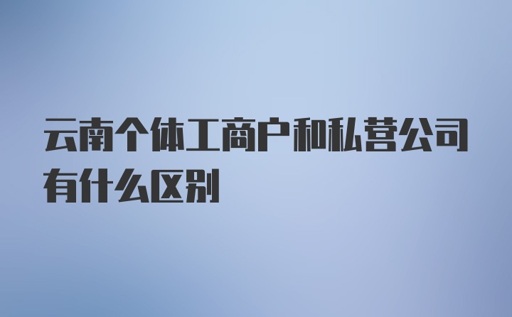 云南个体工商户和私营公司有什么区别