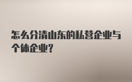 怎么分清山东的私营企业与个体企业？