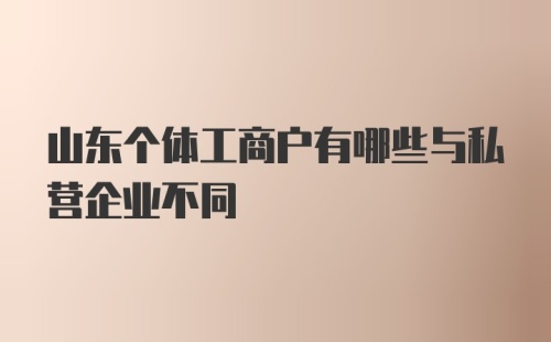 山东个体工商户有哪些与私营企业不同