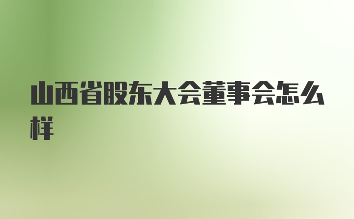 山西省股东大会董事会怎么样