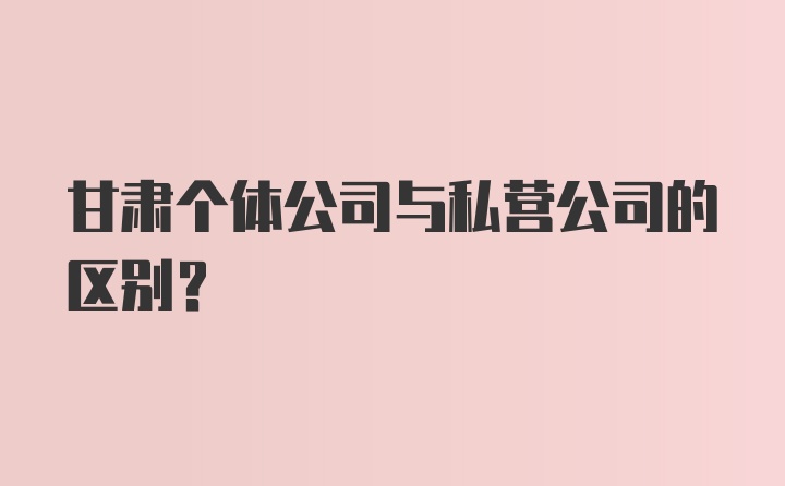 甘肃个体公司与私营公司的区别？