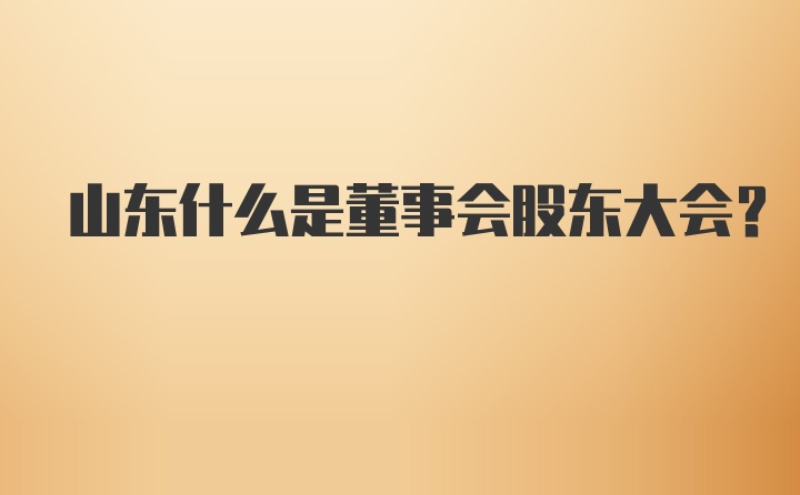 山东什么是董事会股东大会?