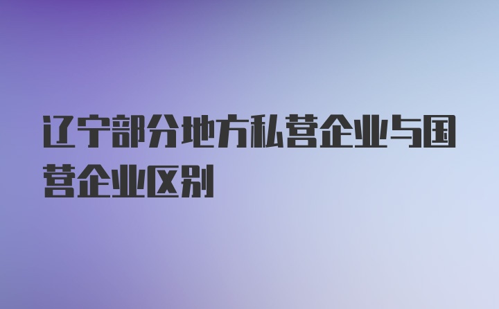 辽宁部分地方私营企业与国营企业区别