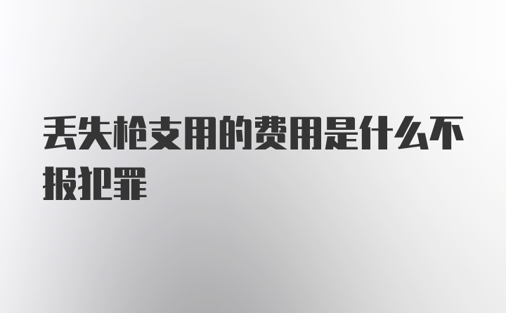 丢失枪支用的费用是什么不报犯罪