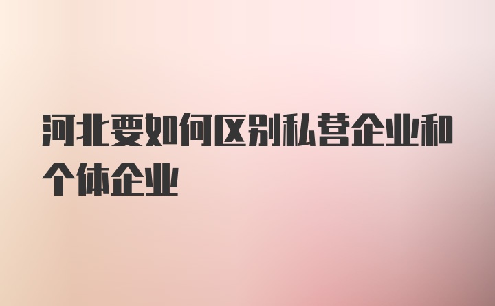 河北要如何区别私营企业和个体企业