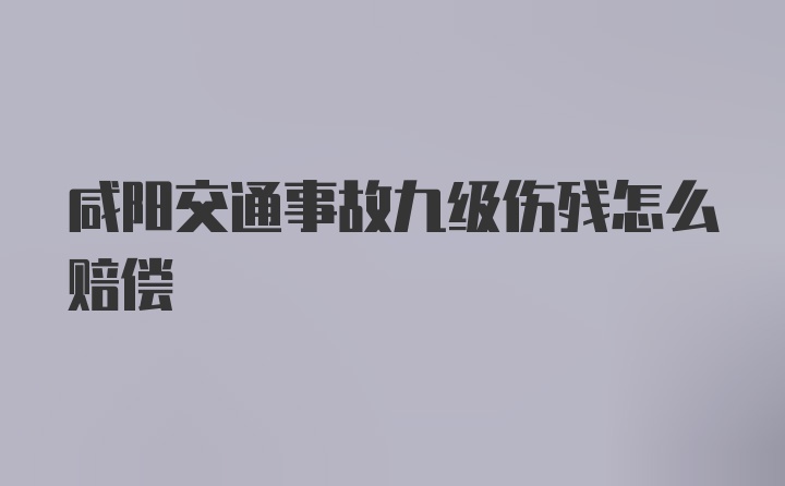 咸阳交通事故九级伤残怎么赔偿