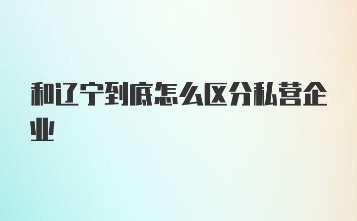 和辽宁到底怎么区分私营企业