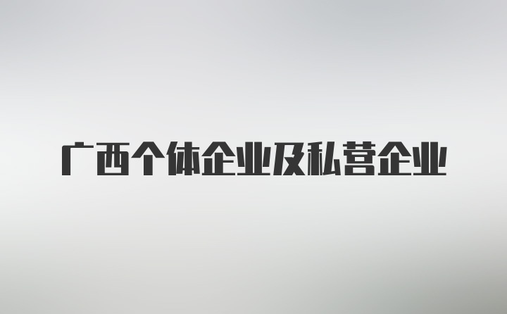 广西个体企业及私营企业