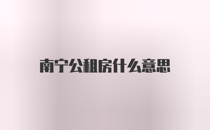 南宁公租房什么意思