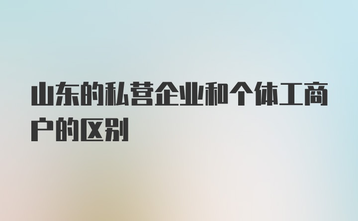 山东的私营企业和个体工商户的区别