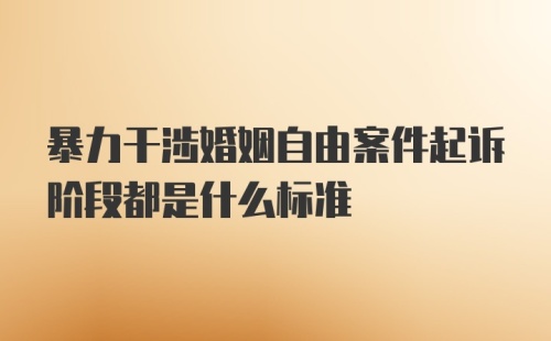 暴力干涉婚姻自由案件起诉阶段都是什么标准