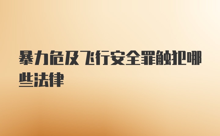 暴力危及飞行安全罪触犯哪些法律