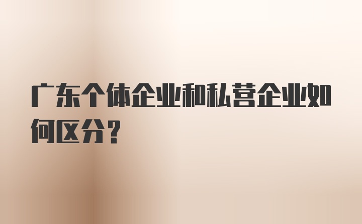 广东个体企业和私营企业如何区分？