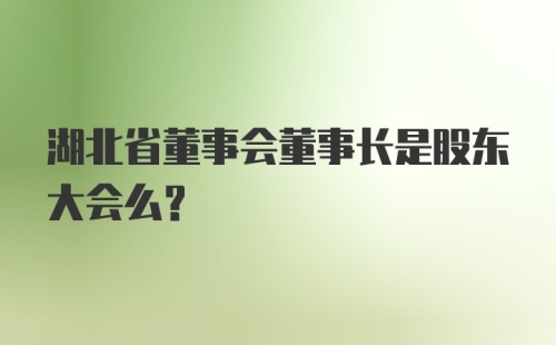 湖北省董事会董事长是股东大会么?