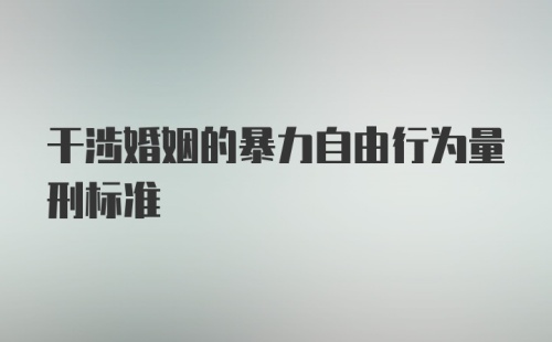 干涉婚姻的暴力自由行为量刑标准