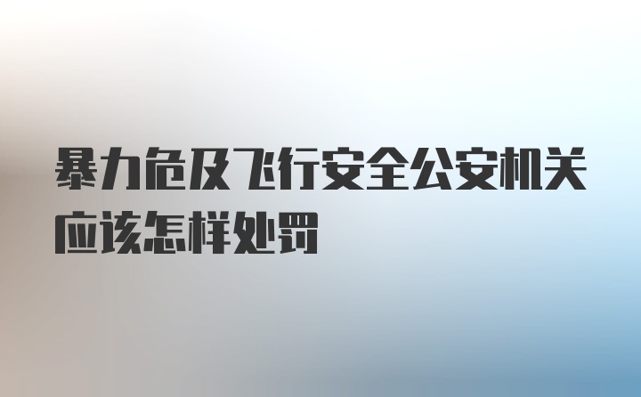 暴力危及飞行安全公安机关应该怎样处罚