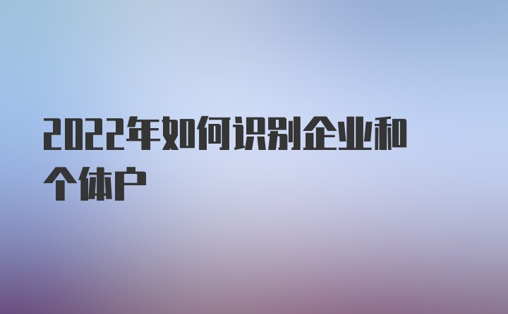 2022年如何识别企业和个体户