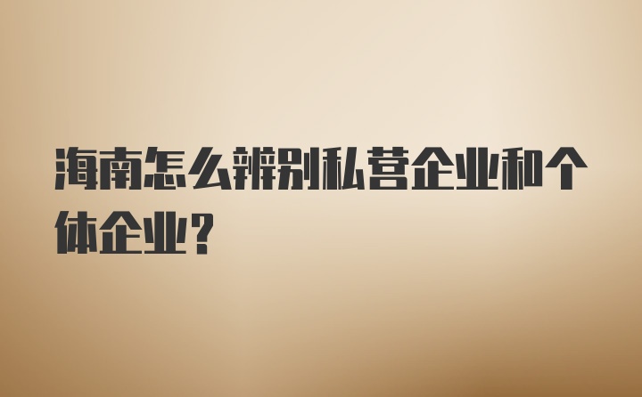 海南怎么辨别私营企业和个体企业？