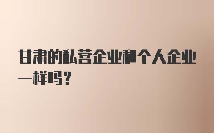 甘肃的私营企业和个人企业一样吗？