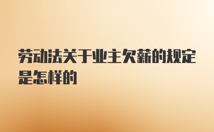 劳动法关于业主欠薪的规定是怎样的