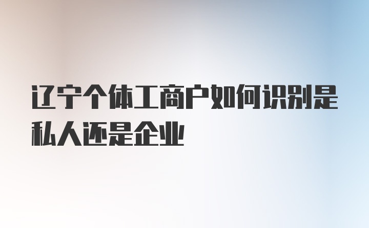 辽宁个体工商户如何识别是私人还是企业