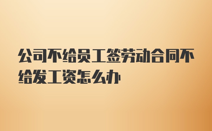 公司不给员工签劳动合同不给发工资怎么办