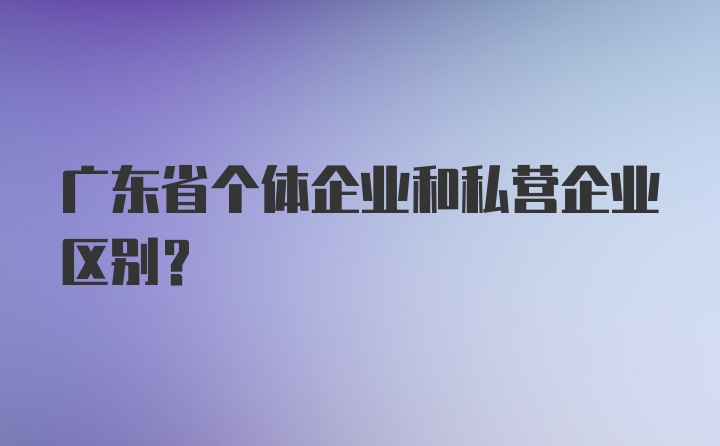 广东省个体企业和私营企业区别？