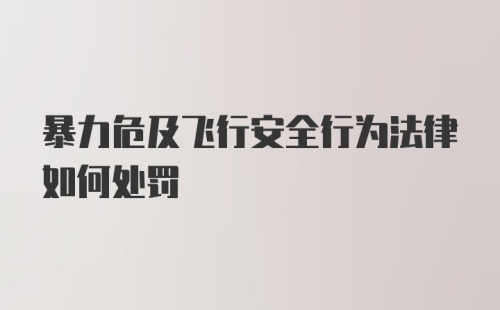 暴力危及飞行安全行为法律如何处罚