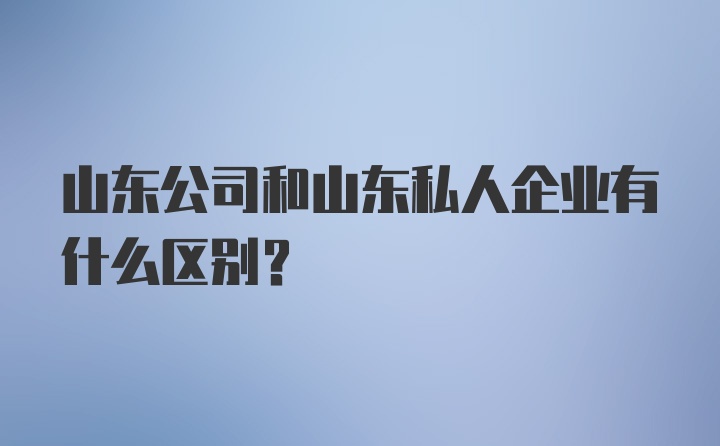 山东公司和山东私人企业有什么区别？