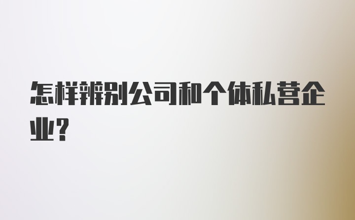 怎样辨别公司和个体私营企业？