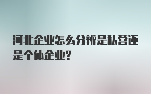 河北企业怎么分辨是私营还是个体企业？