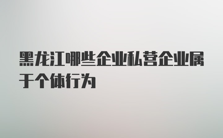 黑龙江哪些企业私营企业属于个体行为