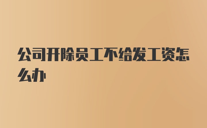 公司开除员工不给发工资怎么办