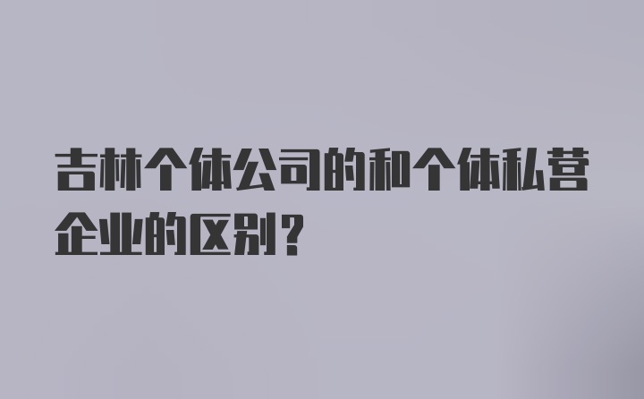 吉林个体公司的和个体私营企业的区别？