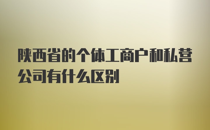 陕西省的个体工商户和私营公司有什么区别