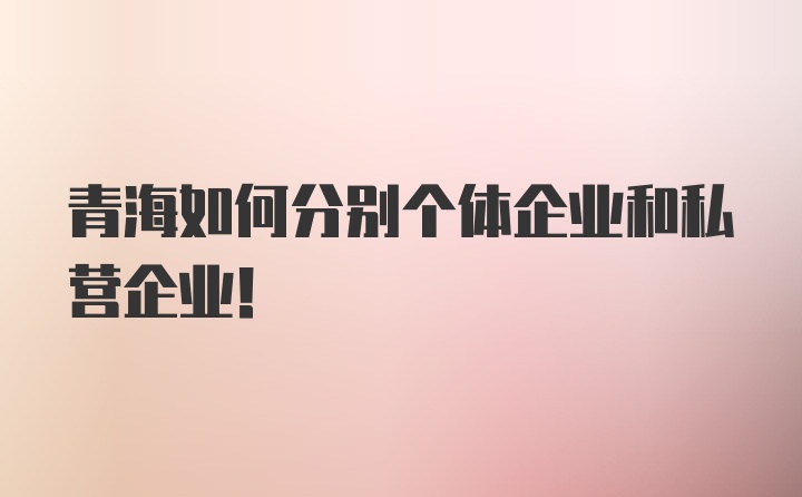 青海如何分别个体企业和私营企业!