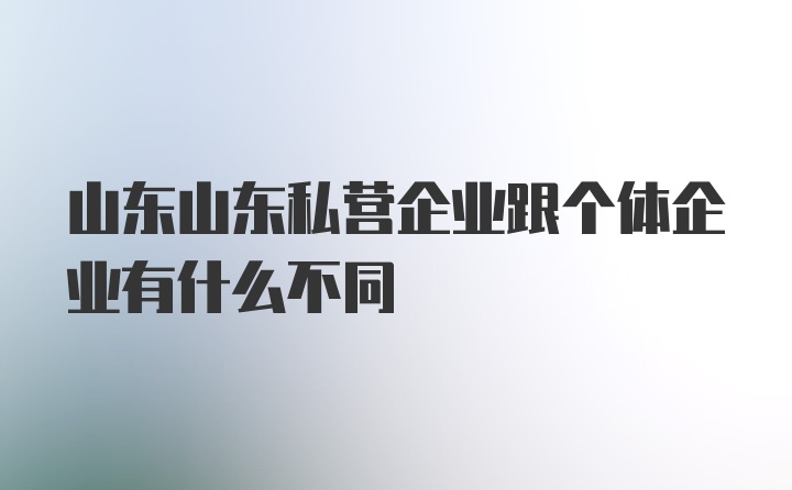 山东山东私营企业跟个体企业有什么不同