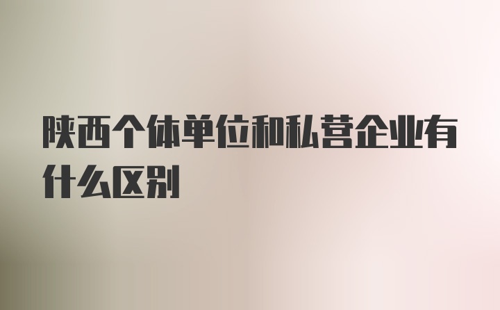 陕西个体单位和私营企业有什么区别