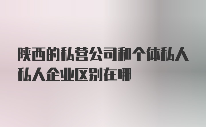 陕西的私营公司和个体私人私人企业区别在哪