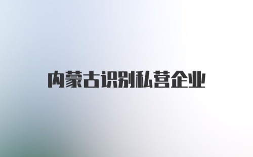 内蒙古识别私营企业