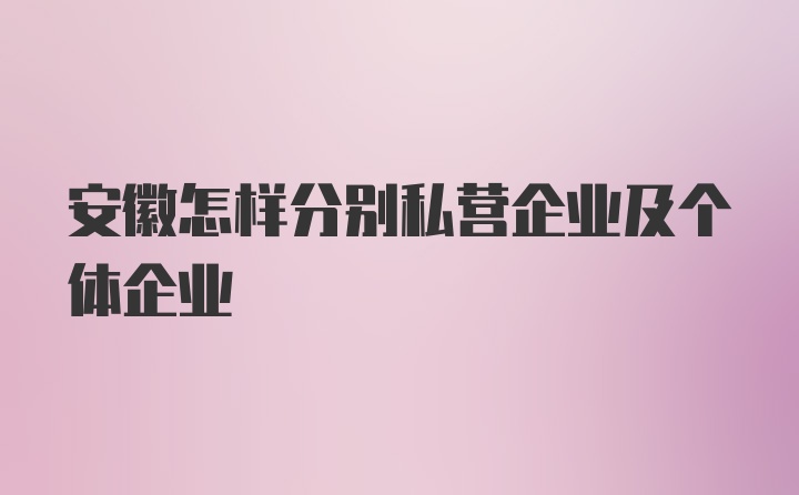 安徽怎样分别私营企业及个体企业